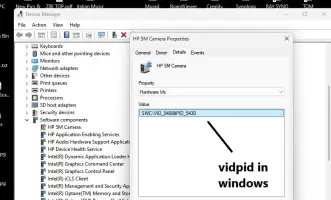 vidpid.webp