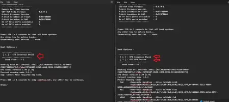 Good boot bad boot.webp