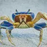 A_Bullish_Crab