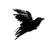 blackbird