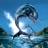 EchoTheDolphin