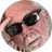jwilly333