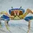 A_Bullish_Crab
